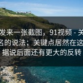 有人发来一张截图，91视频 - 关于相似域名的说法；关键点居然在这里！！据说后面还有更大的反转
