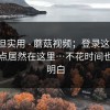 冷门但实用 - 蘑菇视频；登录这件事，关键点居然在这里…不花时间也能搞明白